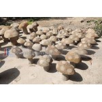 Natural stone mushrooms