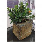 Small size black basalt planters flower pot