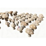 Natural stone mushrooms, garden accents